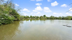 Photo 24- click for photo gallery